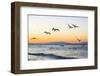 Blue-Footed Boobies (Sula Nebouxii) Plunge-Diving for Small Fish Off Rabida Island-Michael Nolan-Framed Photographic Print