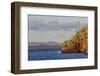 Blue-Footed Boobies (Sula Nebouxii) Plunge-Diving for Small Fish Off Rabida Island-Michael Nolan-Framed Photographic Print