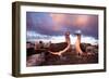 Blue-Footed Booby Courtship Display at Sunset-null-Framed Photographic Print