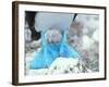 Blue-footed Booby Feet-Peter Scoones-Framed Photographic Print