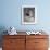 Blue Footed Booby, Galapagos Islands, Ecuador, South America-Sassoon Sybil-Framed Photographic Print displayed on a wall