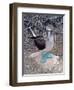 Blue Footed Booby, Galapagos Islands, Ecuador, South America-Sassoon Sybil-Framed Photographic Print