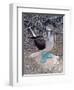 Blue Footed Booby, Galapagos Islands, Ecuador, South America-Sassoon Sybil-Framed Photographic Print