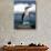 Blue Footed Booby, Galapagos Islands, Ecuador-Gavriel Jecan-Photographic Print displayed on a wall