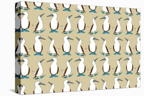 Blue Footed Booby-Joanne Paynter Design-Stretched Canvas