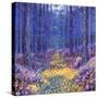 Blue Forest 2, 2012-David Newton-Stretched Canvas