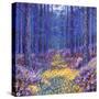Blue Forest 2, 2012-David Newton-Stretched Canvas