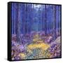 Blue Forest 2, 2012-David Newton-Framed Stretched Canvas