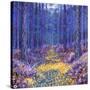 Blue Forest 2, 2012-David Newton-Stretched Canvas