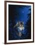 Blue Forest-Joh Naito-Framed Giclee Print