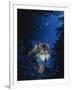 Blue Forest-Joh Naito-Framed Giclee Print