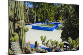 Blue Fountain and Cactus in the Majorelle Gardens (Gardens of Yves Saint-Laurent)-Matthew Williams-Ellis-Mounted Photographic Print