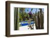 Blue Fountain and Cactus in the Majorelle Gardens (Gardens of Yves Saint-Laurent)-Matthew Williams-Ellis-Framed Photographic Print