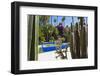 Blue Fountain and Cactus in the Majorelle Gardens (Gardens of Yves Saint-Laurent)-Matthew Williams-Ellis-Framed Photographic Print