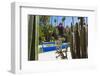 Blue Fountain and Cactus in the Majorelle Gardens (Gardens of Yves Saint-Laurent)-Matthew Williams-Ellis-Framed Photographic Print