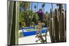 Blue Fountain and Cactus in the Majorelle Gardens (Gardens of Yves Saint-Laurent)-Matthew Williams-Ellis-Mounted Photographic Print