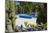 Blue Fountain and Cactus in the Majorelle Gardens (Gardens of Yves Saint-Laurent)-Matthew Williams-Ellis-Mounted Photographic Print