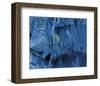 Blue Fragmentation-null-Framed Art Print