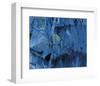 Blue Fragmentation-null-Framed Art Print