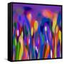 Blue Fusion-Ruth Palmer-Framed Stretched Canvas