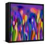 Blue Fusion-Ruth Palmer-Framed Stretched Canvas