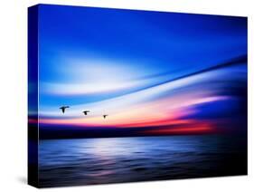 Blue Geese-Josh Adamski-Stretched Canvas