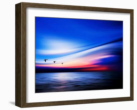 Blue Geese-Josh Adamski-Framed Photographic Print