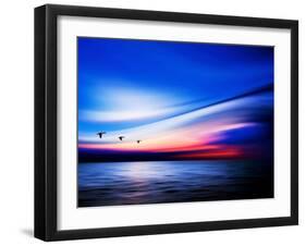 Blue Geese-Josh Adamski-Framed Photographic Print