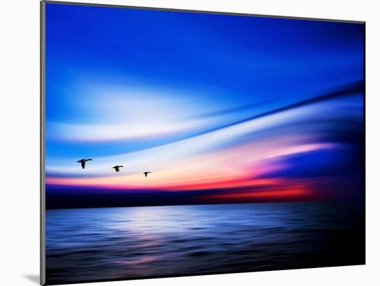 Blue Geese-Josh Adamski-Mounted Photographic Print