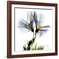 Blue Geranium-Albert Koetsier-Framed Giclee Print