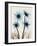 Blue Gerbera Bouquet-Albert Koetsier-Framed Art Print