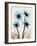 Blue Gerbera Bouquet-Albert Koetsier-Framed Art Print