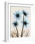 Blue Gerbera Bouquet-Albert Koetsier-Framed Art Print