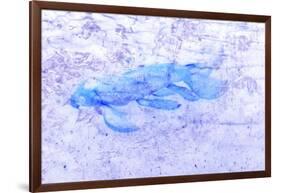 Blue Ghost-Tom Kelly-Framed Giclee Print