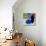 Blue Glass Vase with blossom and black cat-Claire Huntley-Stretched Canvas displayed on a wall