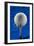 Blue Golf Ball Splash-Steve Gadomski-Framed Photographic Print