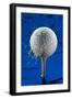 Blue Golf Ball Splash-Steve Gadomski-Framed Photographic Print