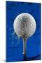 Blue Golf Ball Splash-Steve Gadomski-Mounted Photographic Print