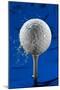 Blue Golf Ball Splash-Steve Gadomski-Mounted Premium Photographic Print