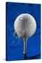 Blue Golf Ball Splash-Steve Gadomski-Stretched Canvas