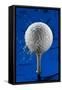 Blue Golf Ball Splash-Steve Gadomski-Framed Stretched Canvas