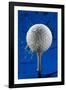 Blue Golf Ball Splash-Steve Gadomski-Framed Photographic Print