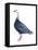 Blue Goose (Chen Caerulescens), Birds-Encyclopaedia Britannica-Framed Stretched Canvas