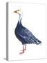 Blue Goose (Chen Caerulescens), Birds-Encyclopaedia Britannica-Stretched Canvas