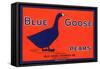 Blue Goose Pear Label-null-Framed Stretched Canvas