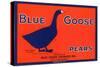 Blue Goose Pear Label-null-Stretched Canvas