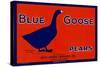 Blue Goose Pears-null-Stretched Canvas