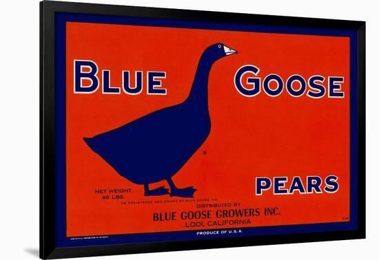 Blue Goose Pears-null-Framed Giclee Print