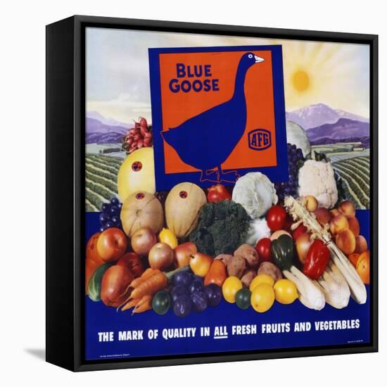 Blue Goose Poster-null-Framed Stretched Canvas