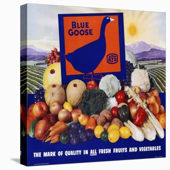 Blue Goose Poster-null-Stretched Canvas